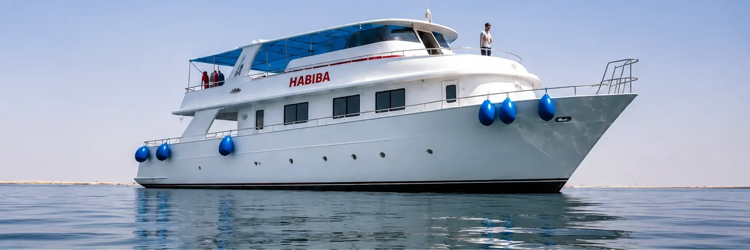 Ein Tauchboot liegt vor der Küste im ruhigen Wasser